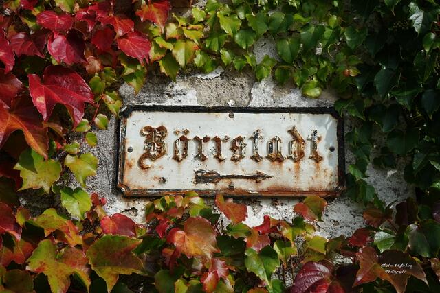 Historisches Schild nach Börrstadt beim Hahnweilerhof / Winnweiler | Foto: Stephen Wüstenberg Photographie - Wartenberg-Rohrbach