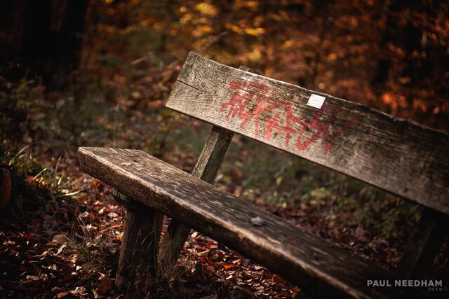 Foto: Paul Needham