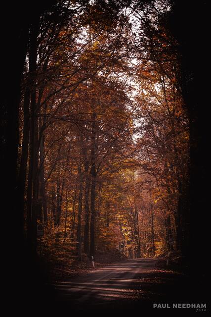 Foto: Paul Needham