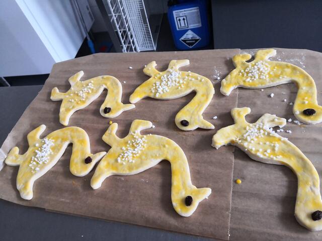 Ab in die Röhre damit | Foto: Ute Tsapanitis-Merz