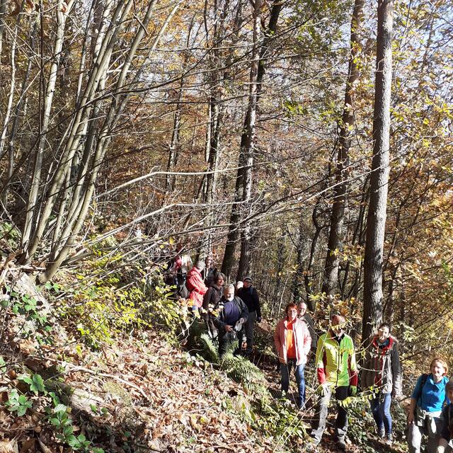 Auf Kermesbeerenjagd | Foto: Reddig