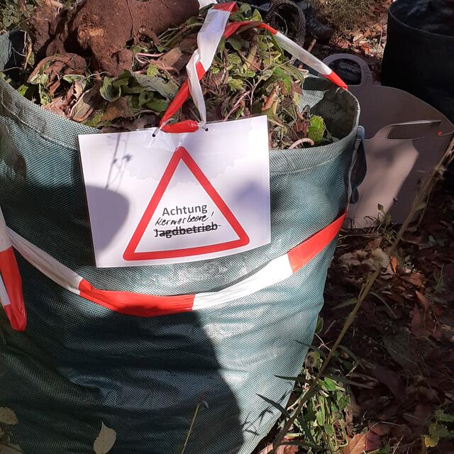 Die Kermesbeere muss in der Restmüll-Tonne entsorgt werden | Foto: Reddig