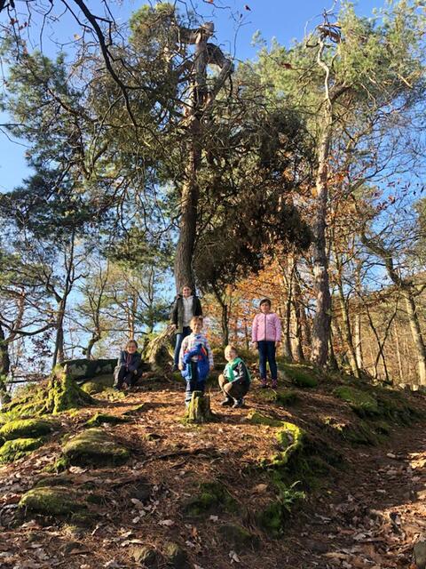 …der Wald und die Natur erkundet.  | Foto: PWV Annweiler
