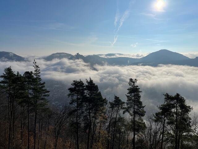 Während das Annweilrer Tal wolkenverhangen war… | Foto: PWV Annweiler