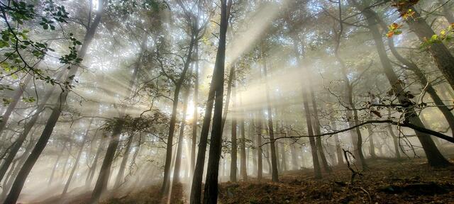 Durchbruch | Foto: Sonja Paschedag