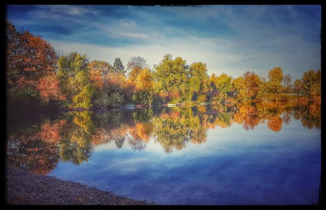 Spiegelung am Binsfeld/Speyer  | Foto: Anita Lemmert 