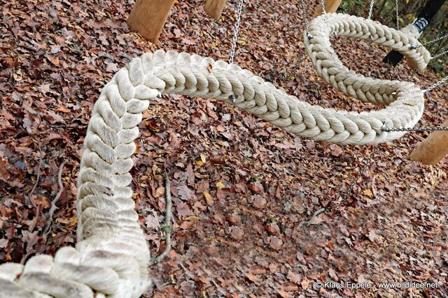 Neue Schlangenart im Bergwald entdeckt ... :)