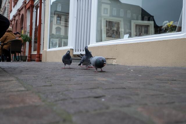 Foto: Jessica Bader