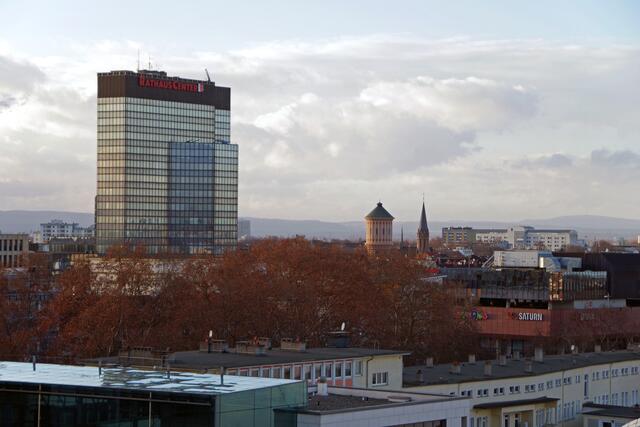 Foto: Ilona Schäfer