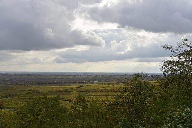 Pfalzblick | Foto: Ilona Schäfer