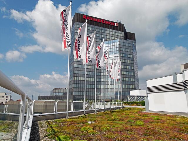 Foto: Ilona Schäfer