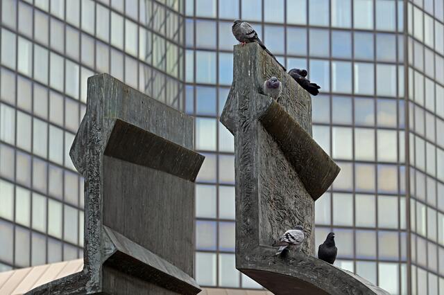 Foto: Ilona Schäfer