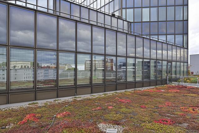 Foto: Ilona Schäfer