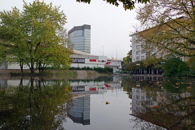 Foto: Ilona Schäfer