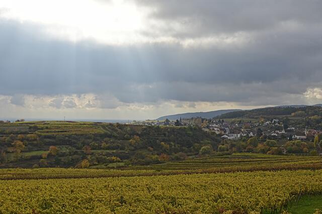 Pfälzer Landschaft | Foto: Ilona Schäfer