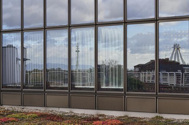 Foto: Ilona Schäfer