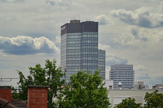 Foto: Ilona Schäfer