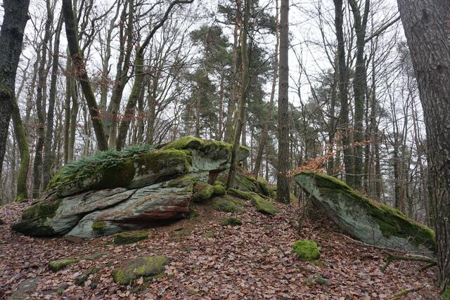 Foto: Markus Pacher