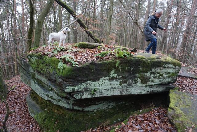 Foto: Markus Pacher