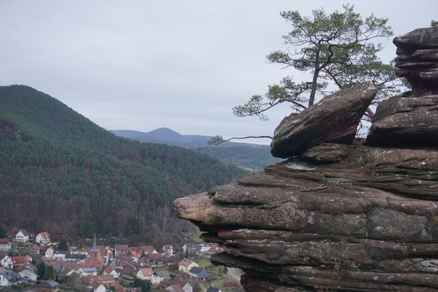 Foto: Markus Pacher