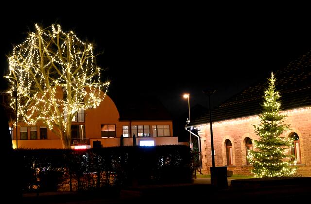 Weihnachtsbaum am Ziegeleimuseum Jockgrim | Foto: A. Abt