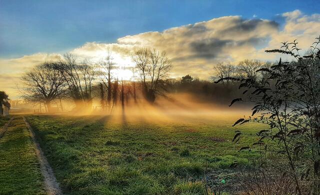 Sonne trifft Nebel! Unterwegs am Ortsrand von Harthausen.  | Foto: Anita Lemmert 