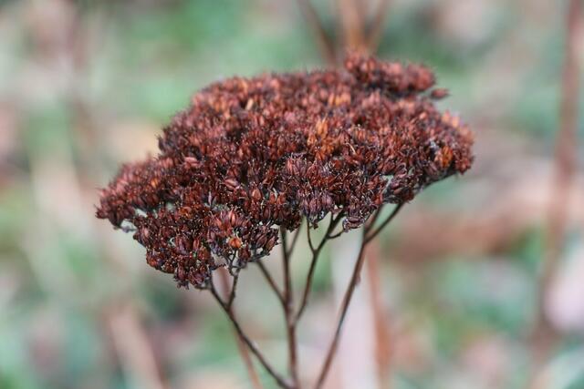 Natur im Winter | Foto: Heike Schwitalla