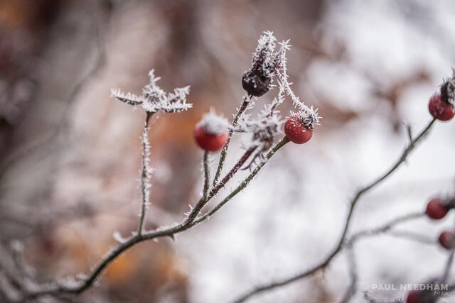 Foto: Paul Needham