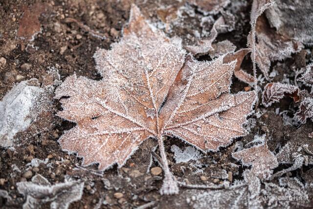 Foto: Paul Needham