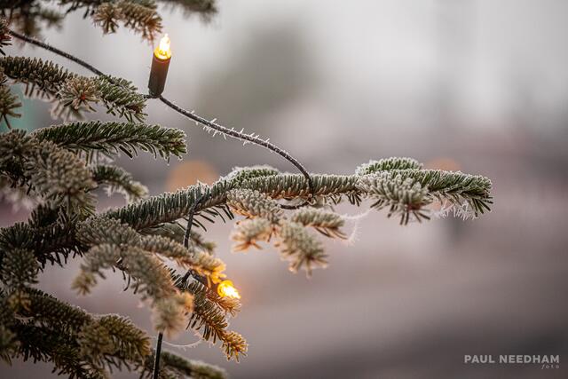 Foto: Paul Needham