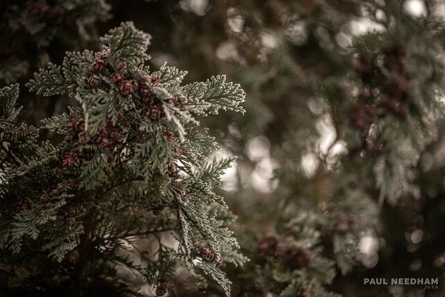 Foto: Paul Needham