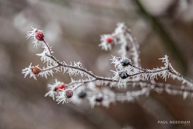 Foto: Paul Needham