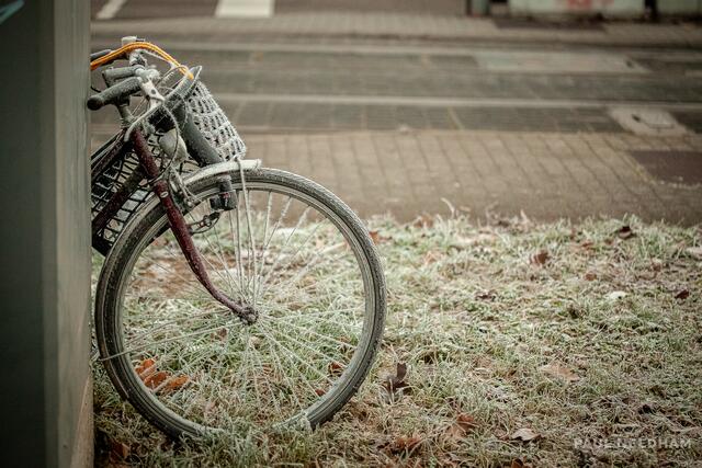 Foto: Paul Needham