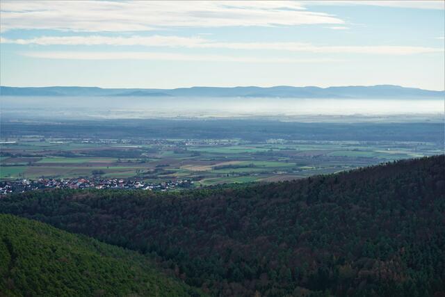 Blick vom Stäffelsbergturm über die Rheinebene in den Schwarzwald. | Foto: Markus Pacher