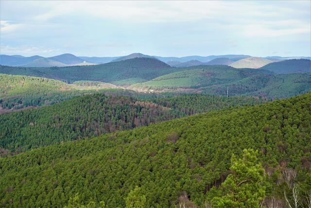 Blick vom Stäffelsbergturm in die Vogesen. | Foto: Markus Pacher