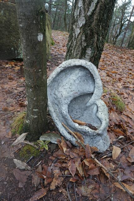 Märchenweg bei Dörrenbach. | Foto: Markus Pacher