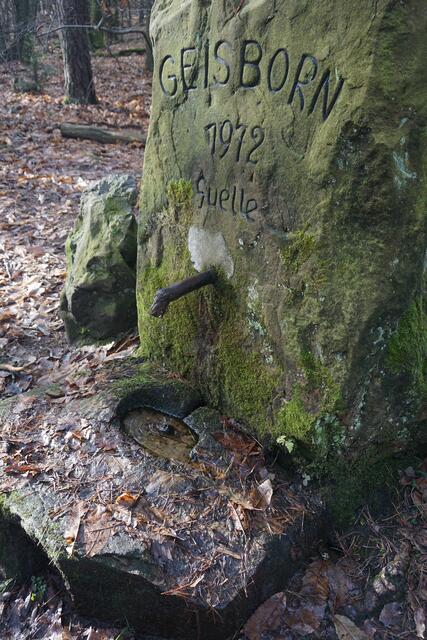 Geisbornquelle bei Bad Bergzabern. | Foto: Markus Pacher