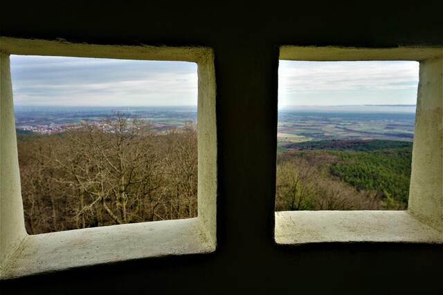 Stäffelsbergturm | Foto: Markus Pacher