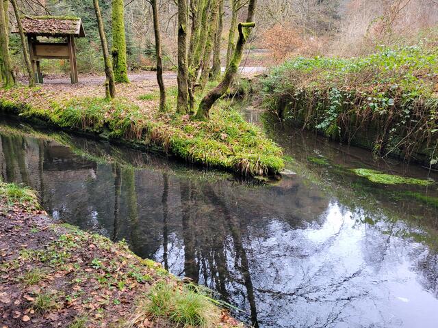 An der Legelbachtalmündung | Foto: Markus Pacher