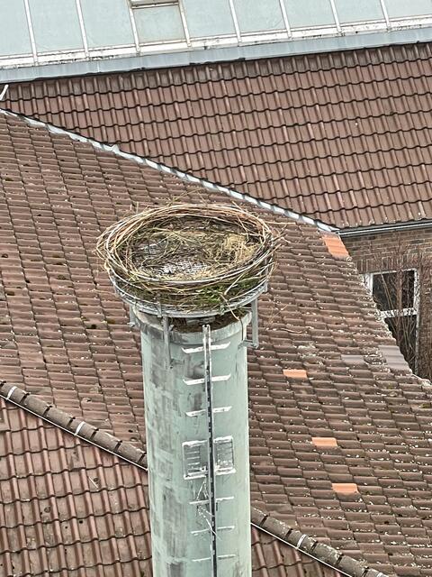 Jetzt kann Klappi kommen. | Foto: Weiler