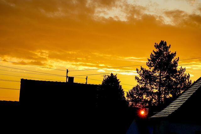 Morgenrot über Limburgerhof | Foto: Soraja Eydam