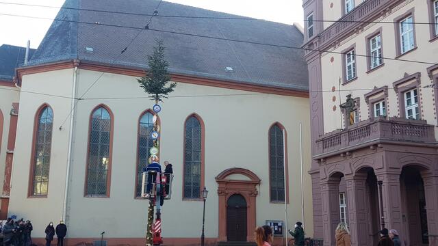 Besondere Zeiten bringen besondere Aktionen: In Durlach wurde soeben aus dem Weihnachtsbaum der Narrenbaum. Zur Erinnerung: Der Umzug kann leider nicht stattfinden. Mehr auf www.wochenblatt-reporter.de | Foto: www.jowapress.de