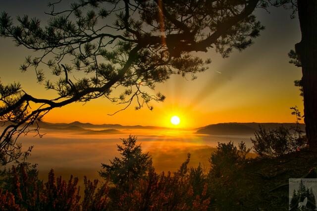 Der Schlüsselfels im Dahner Felsenland, bei Herbstlicher Nebelstimmung | Foto: Lars Woywadt