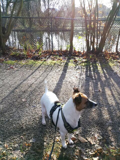 Foto: Herbert Wetterauer