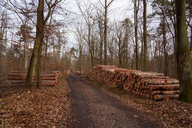 Ich hoffe mal das hier Nachhaltig gehandelt wurde | Foto: Lutz Blohm