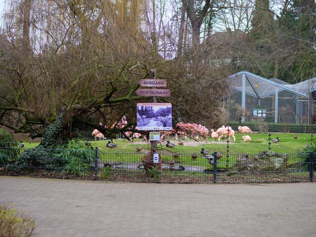 Zoo Landau / Symbolfoto | Foto: Kim Rileit