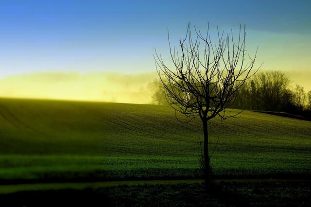 Abendspaziergang !! Enkenbach -Alseborn  | Foto: Siegfried Thum