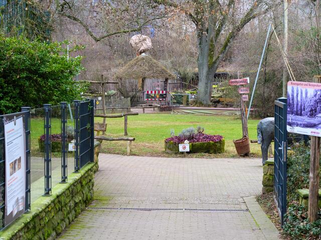 Zoo Landau /Symbolfoto | Foto: Kim Rileit