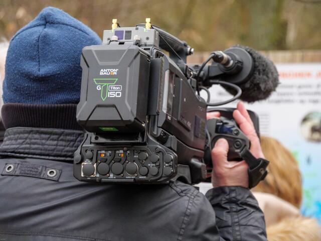 Auch Fernseh-Teams waren vor Ort, um das Zootier des Jahres zu begleiten | Foto: Kim Rileit