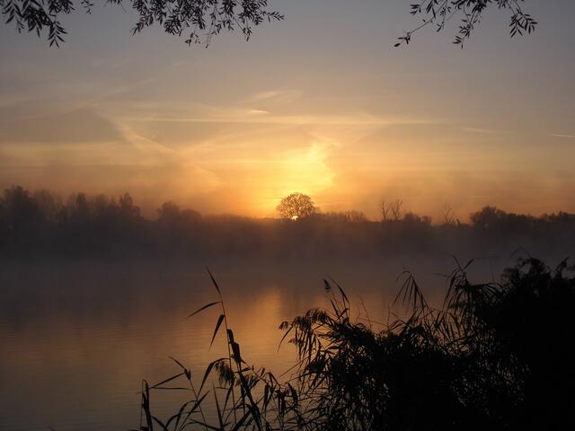 Sonnenaufgang am See in Sondernheim | Foto: Andreas Müller